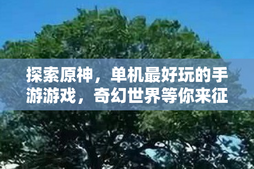 探索原神,单机最好玩的手游游戏,奇幻世界等你来征服 探索原神,单机最好玩的手游游戏,奇幻世界等你来征服