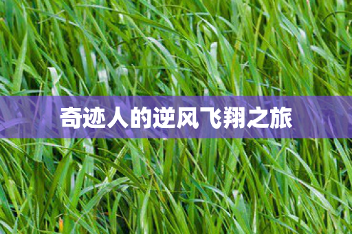 奇迹人的逆风飞翔之旅 奇迹人的逆风飞翔之旅
