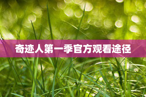 奇迹人第一季官方观看途径 奇迹人第一季官方观看途径