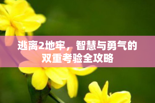 智慧与勇气的双重考验全攻略图片