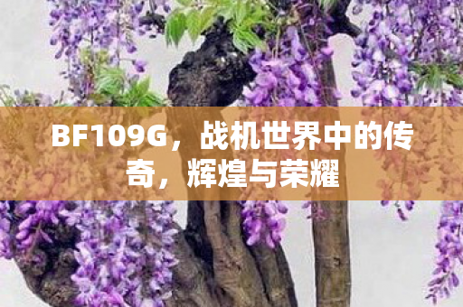 战机世界中的传奇图片