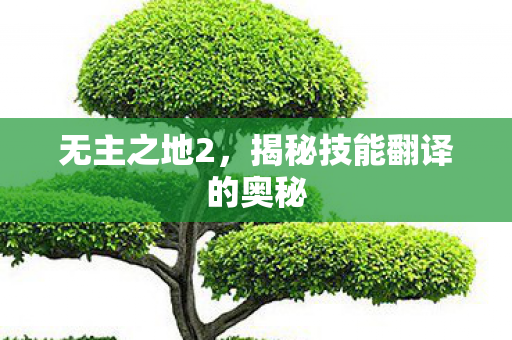 揭秘技能翻译的奥秘图片