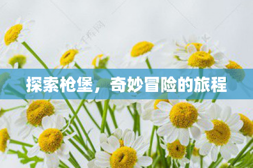 奇妙冒险的旅程图片