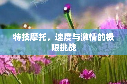 速度与激情的极限挑战图片