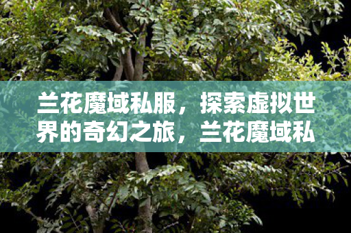 探索虚拟世界的奇幻之旅图片