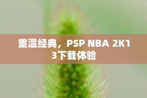 重温经典，PSP NBA 2K13下载体验
