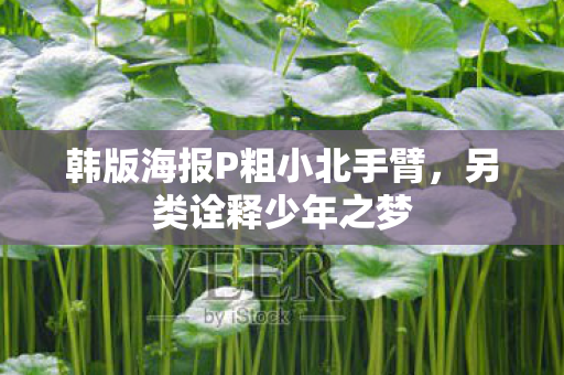 韩版海报P粗小北手臂图片