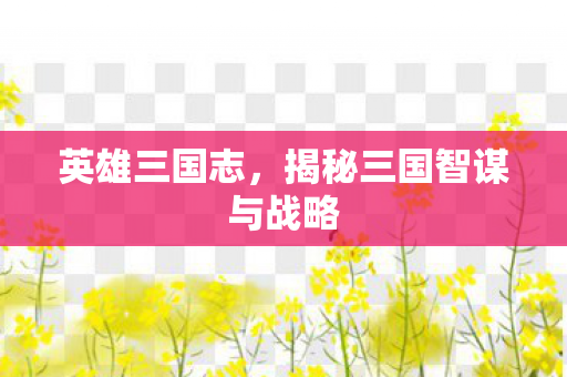 英雄三国志,揭秘三国智谋与战略 英雄三国志,揭秘三国智谋与战略