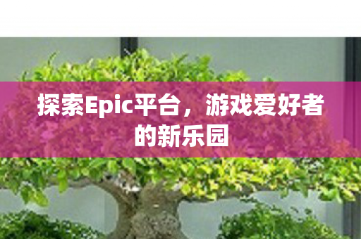 探索Epic平台,游戏爱好者的新乐园 探索Epic平台,游戏爱好者的新乐园