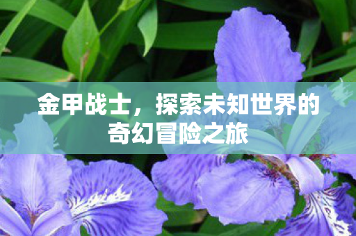 金甲战士,探索未知世界的奇幻冒险之旅 金甲战士,探索未知世界的奇幻冒险之旅