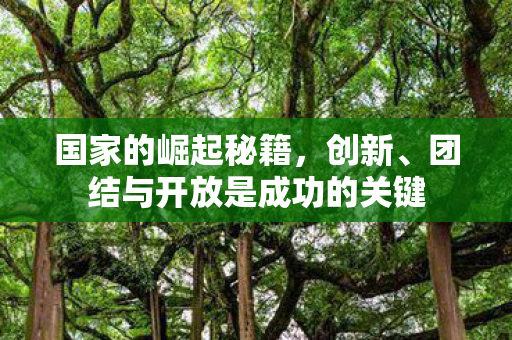 国家的崛起秘籍,创新、团结与开放是成功的关键 国家的崛起秘籍,创新、团结与开放是成功的关键