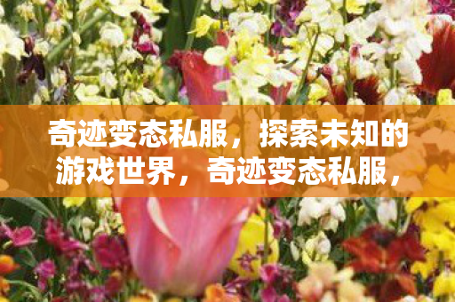 探索未知的游戏世界之旅图片