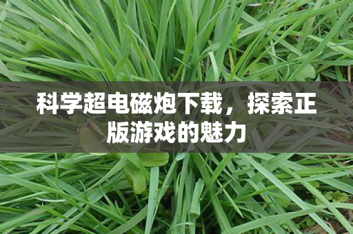 科学超电磁炮下载，探索正版游戏的魅力