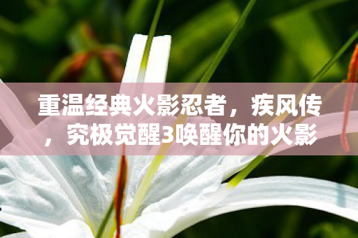重温经典火影忍者,疾风传,究极觉醒3唤醒你的火影梦 重温经典火影忍者,疾风传,究极觉醒3唤醒你的火影梦