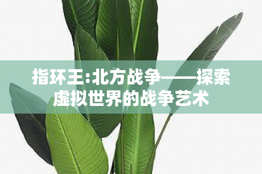 指环王:北方战争——探索虚拟世界的战争艺术 指环王:北方战争——探索虚拟世界的战争艺术