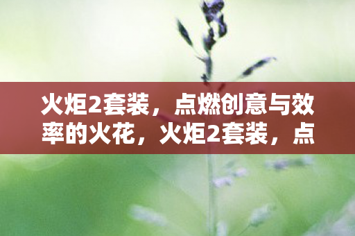 火炬2套装,点燃创意与效率的火花,火炬2套装,点燃创意与效率的火花 火炬2套装,点燃创意与效率的火花,火炬2套装,点燃创意与效率的火花