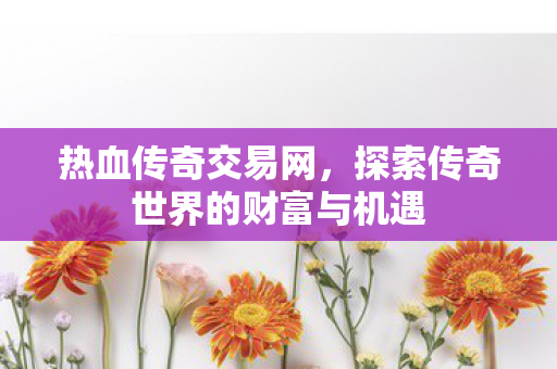探索传奇世界的财富与机遇图片