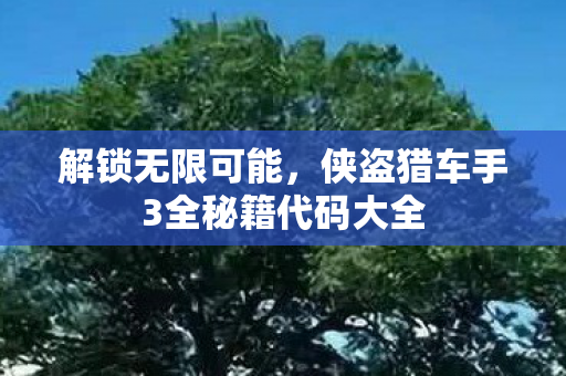 解锁无限可能，侠盗猎车手3全秘籍代码大全
