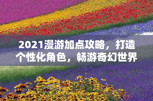 2021漫游加点攻略，打造个性化角色，畅游奇幻世界