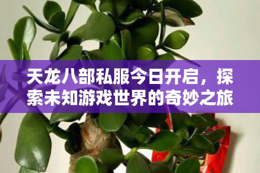 探索未知游戏世界的奇妙之旅图片