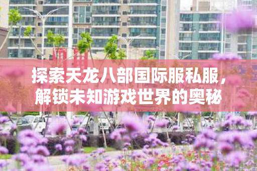 探索天龙八部国际服私服图片
