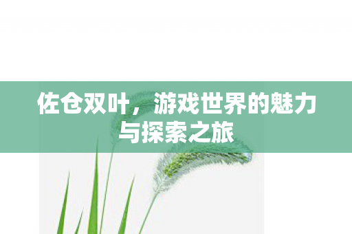 佐仓双叶,游戏世界的魅力与探索之旅 佐仓双叶,游戏世界的魅力与探索之旅