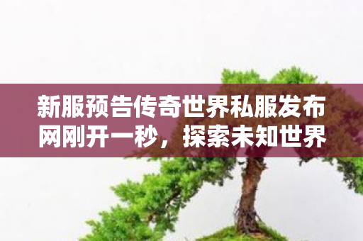 新服预告传奇世界私服发布网刚开一秒图片