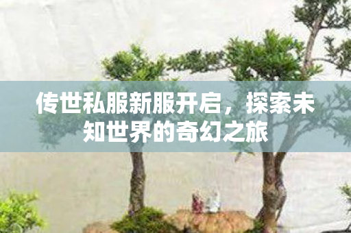 探索未知世界的奇幻之旅图片