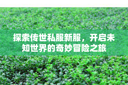 开启未知世界的奇妙冒险之旅图片