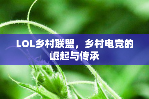 LOL乡村联盟,乡村电竞的崛起与传承 LOL乡村联盟,乡村电竞的崛起与传承