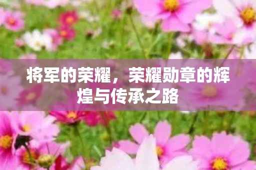 将军的荣耀,荣耀勋章的辉煌与传承之路 将军的荣耀,荣耀勋章的辉煌与传承之路