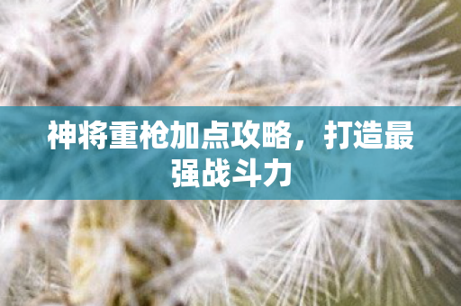 神将重枪加点攻略,打造最强战斗力 神将重枪加点攻略,打造最强战斗力