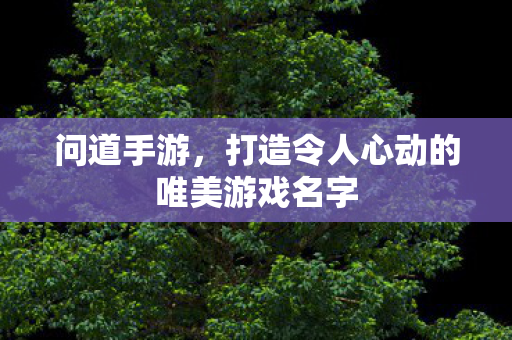 打造令人心动的唯美游戏名字图片