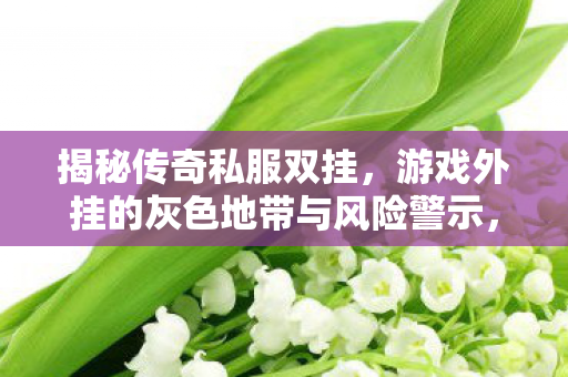 揭秘传奇私服双挂，游戏外挂的灰色地带与风险警示，揭秘传奇私服双挂，游戏外挂的灰色风险