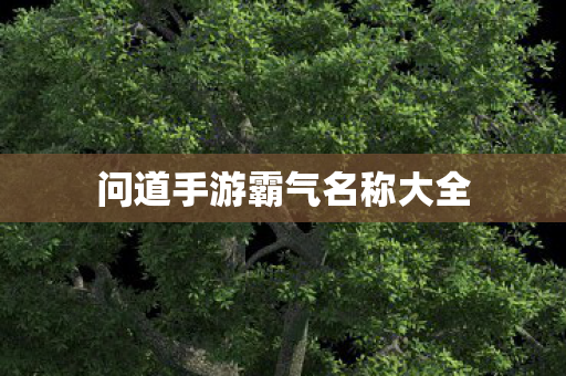 问道手游霸气名称大全图片