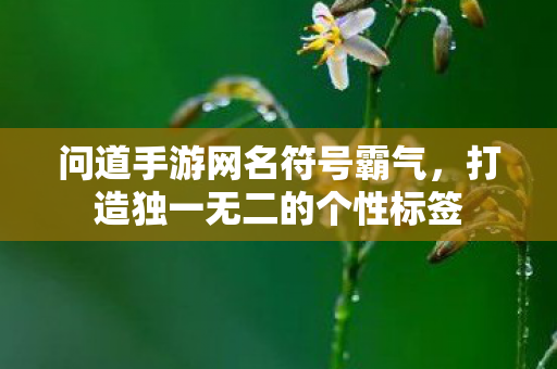 打造独一无二的个性标签图片