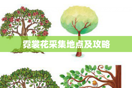 霓裳花采集地点及攻略图片