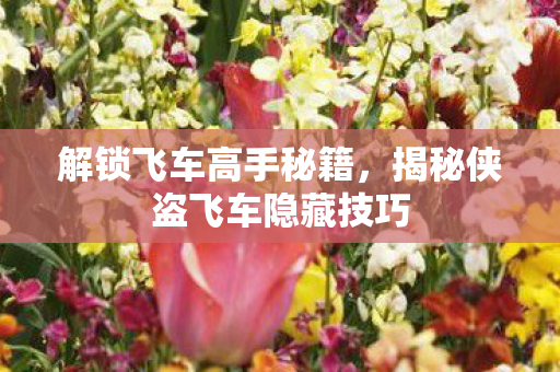 揭秘侠盗飞车隐藏技巧图片