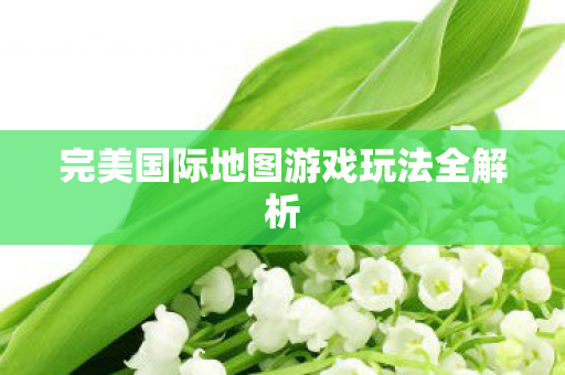 完美国际地图游戏玩法全解析图片