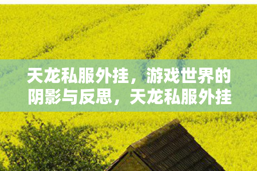 游戏世界的阴影与反思图片