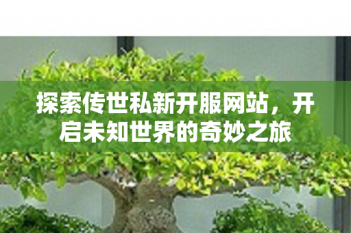 开启未知世界的奇妙之旅图片