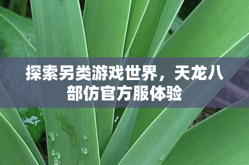 天龙八部仿官方服体验图片