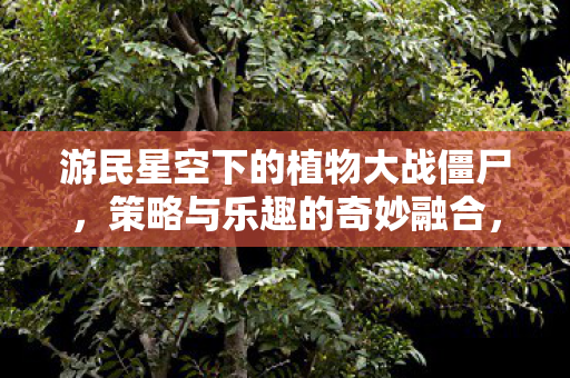 植物大战僵尸策略与乐趣的完美融合图片