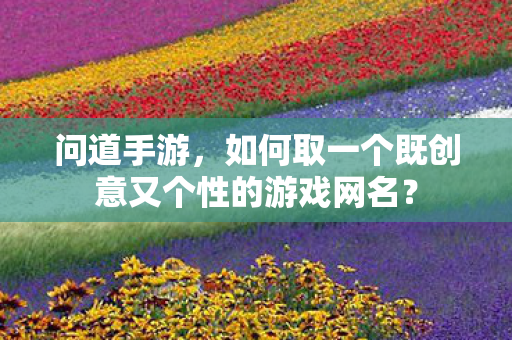 如何取一个既创意又个性的游戏网名图片