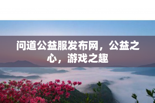 问道公益服发布网图片