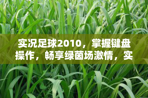 实况足球2010图片