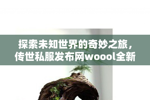 传世私服发布网woool全新开服图片