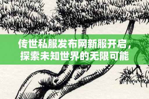 传世私服发布网新服开启图片