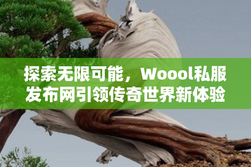 Woool私服发布网引领传奇世界新体验图片