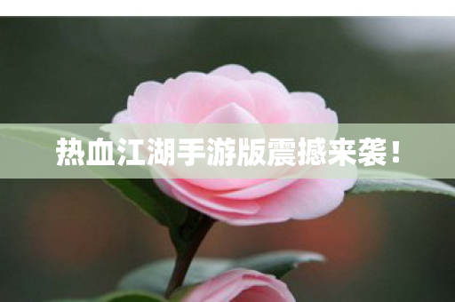 热血江湖手游版震撼来袭图片